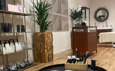 Powder Brows vs Microblading